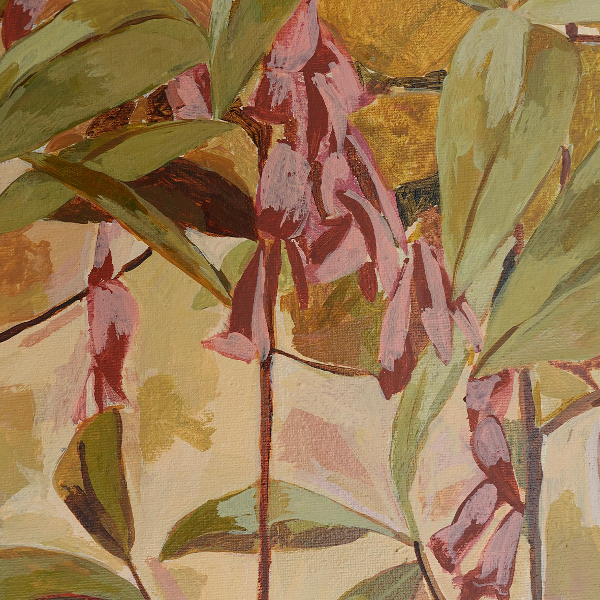 Dusky Coral Pea