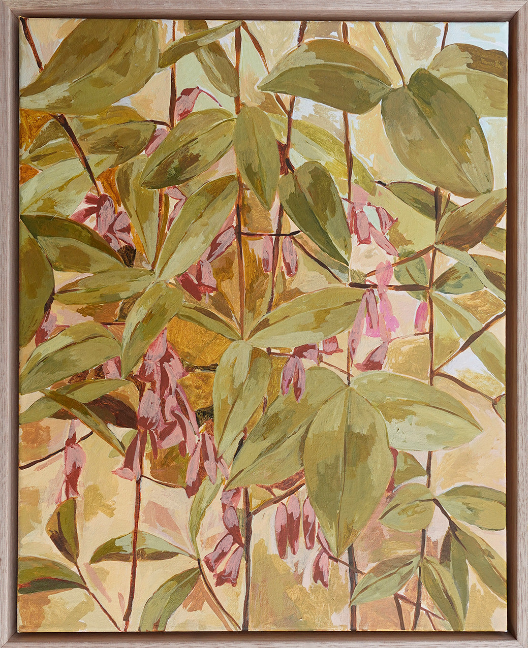 Dusky Coral Pea