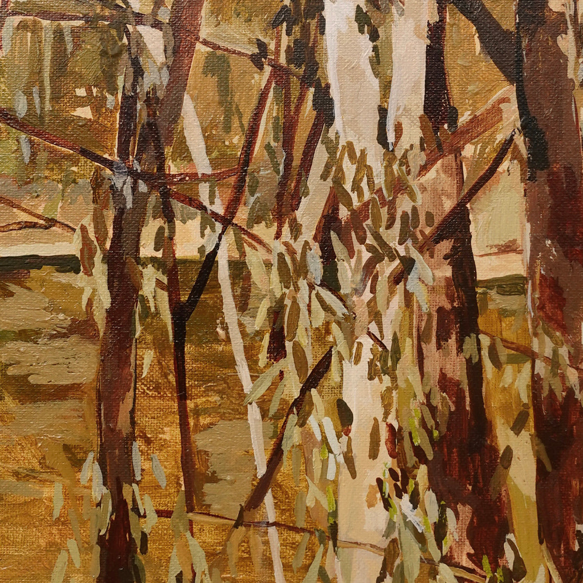 Moama Beach Study #1