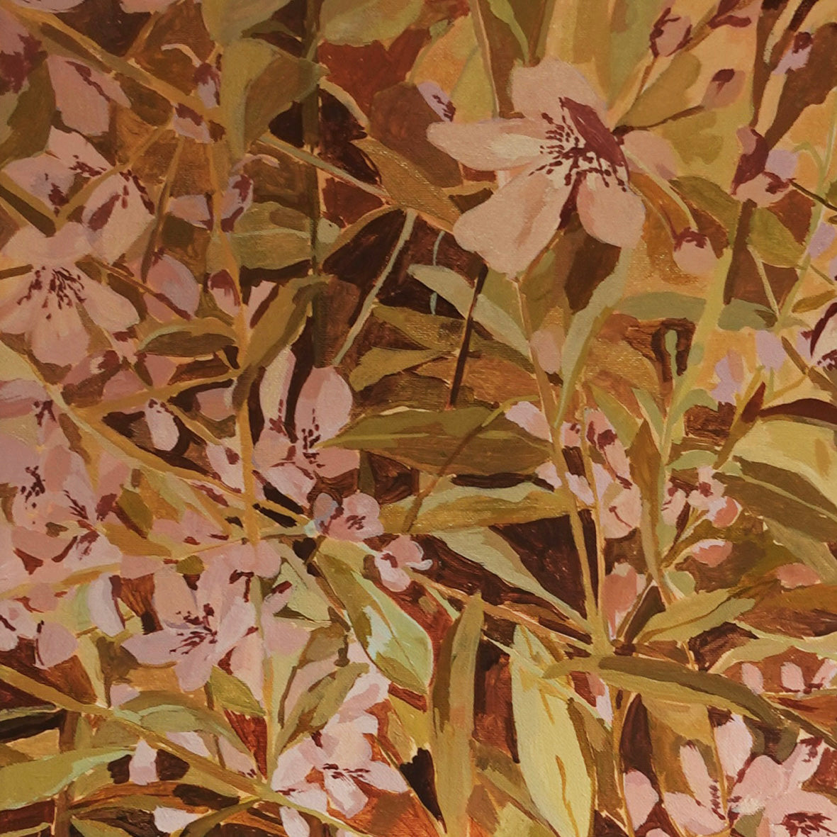 Native Mint Bush