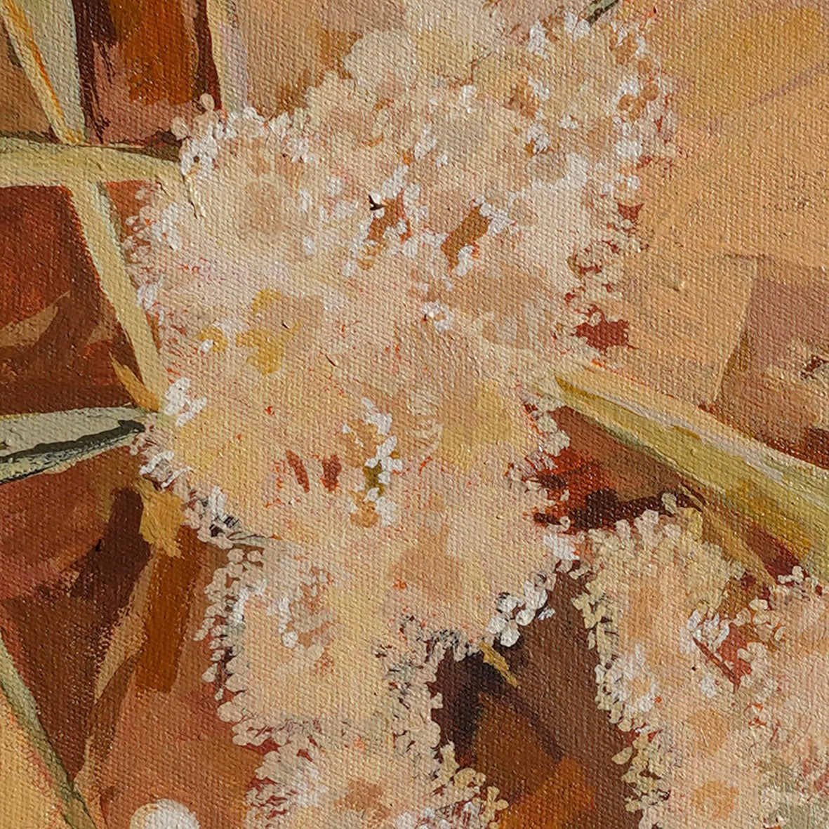 Pink Skies Wattle