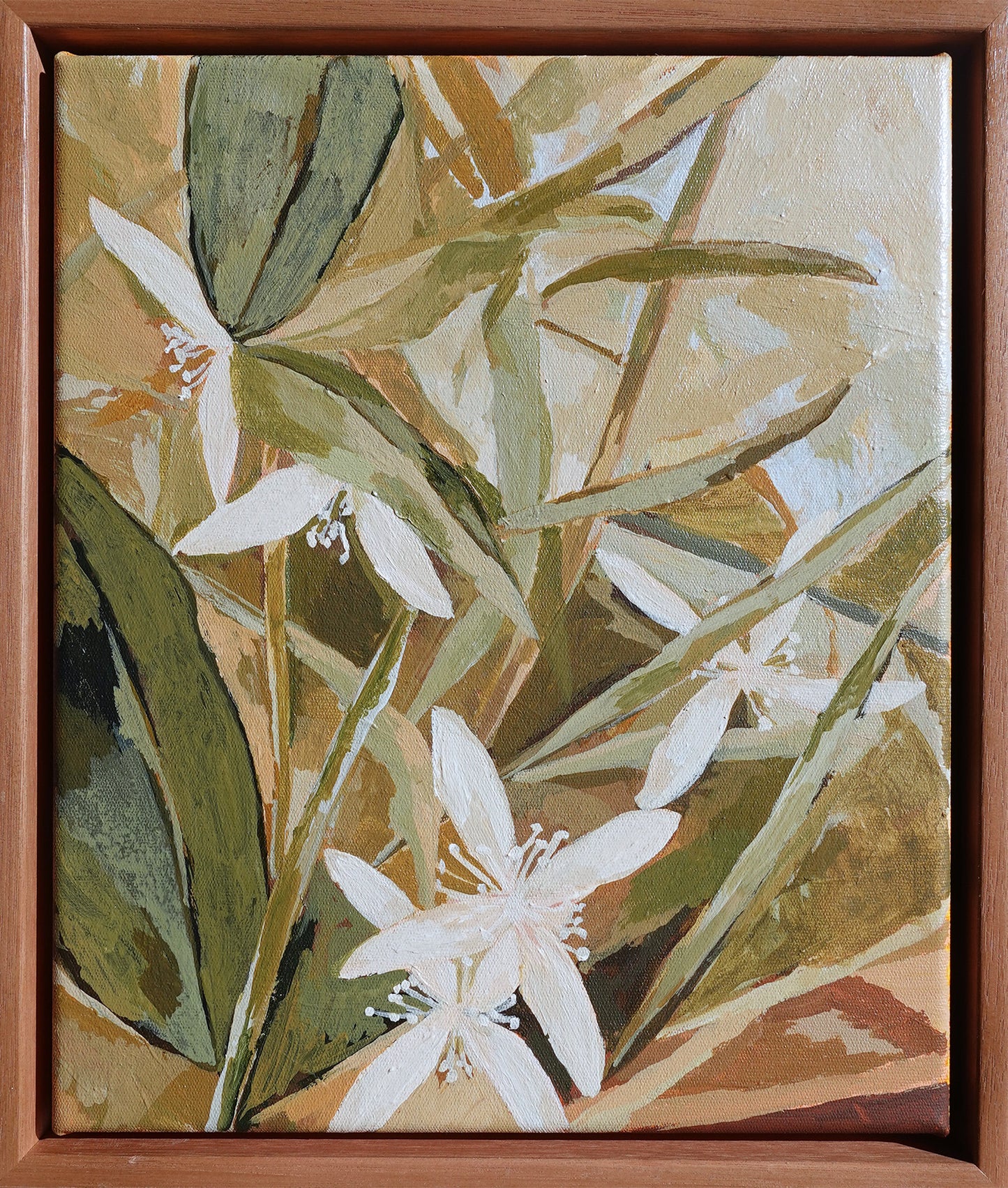 White Clematis