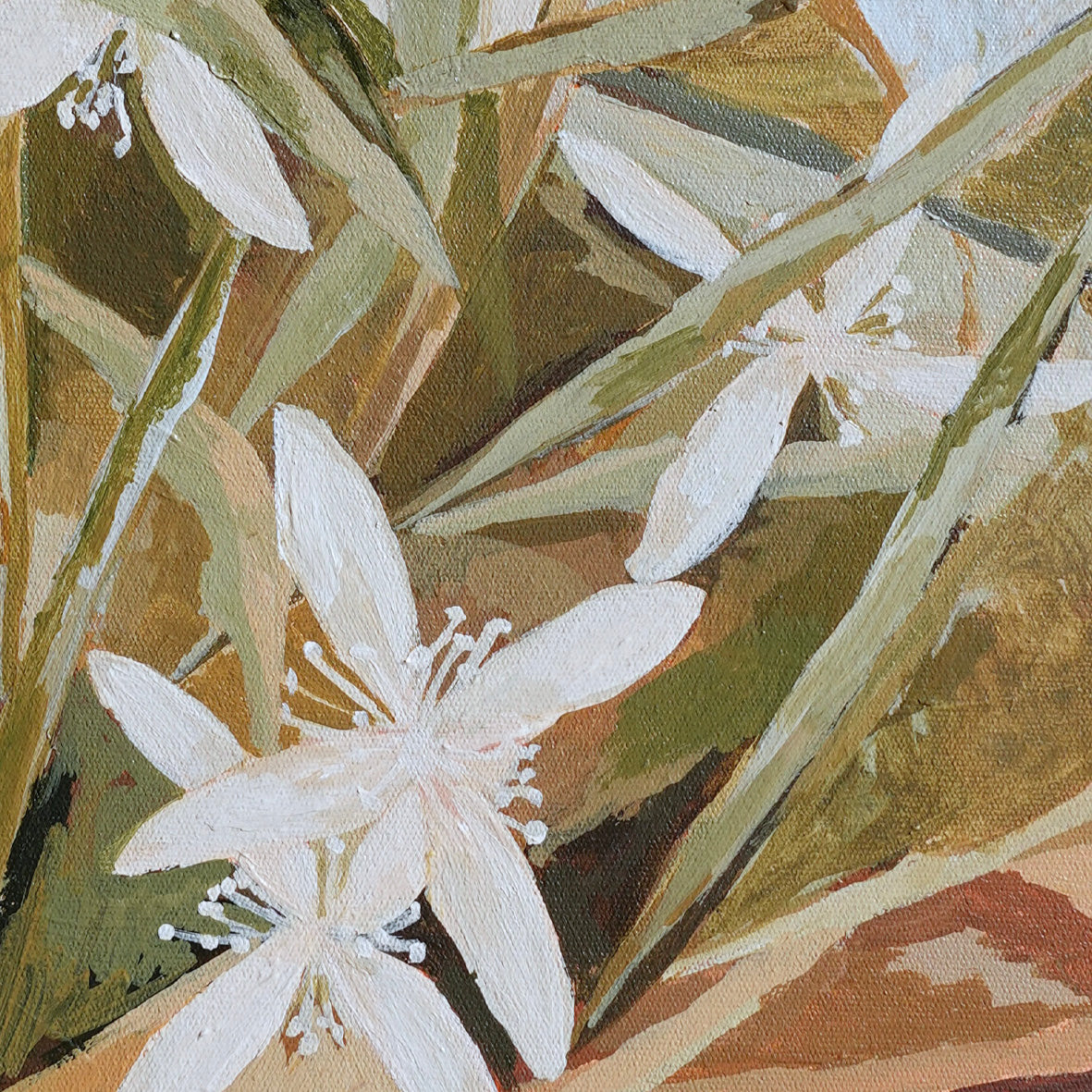White Clematis