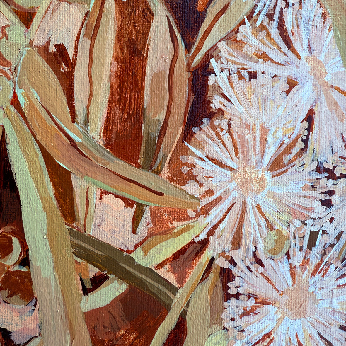 White Gum Blossom