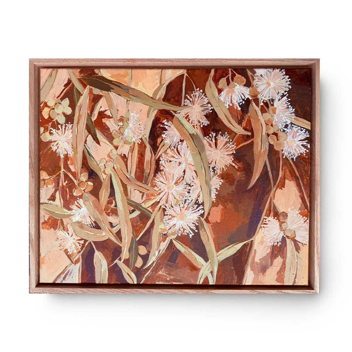 White Gum Blossom