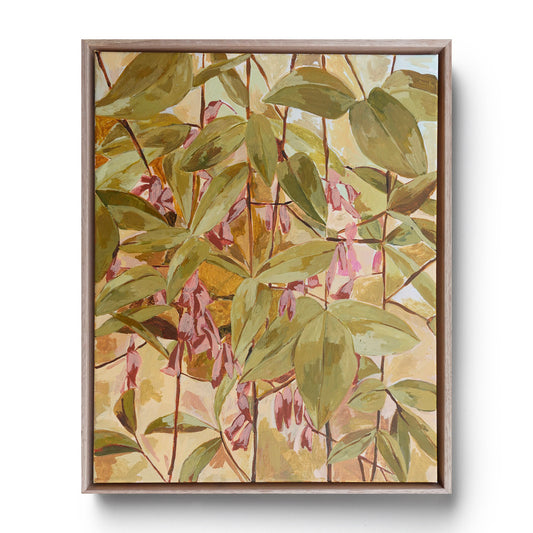 Dusky Coral Pea