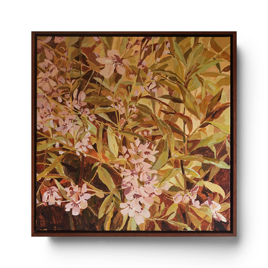 Native Mint Bush