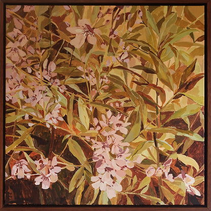 Native Mint Bush
