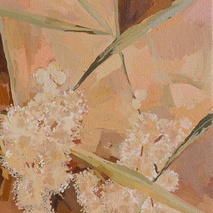 Pink Skies Wattle