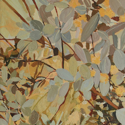 Silver Gum