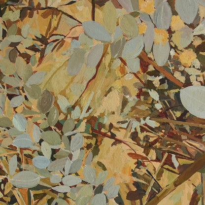 Silver Gum