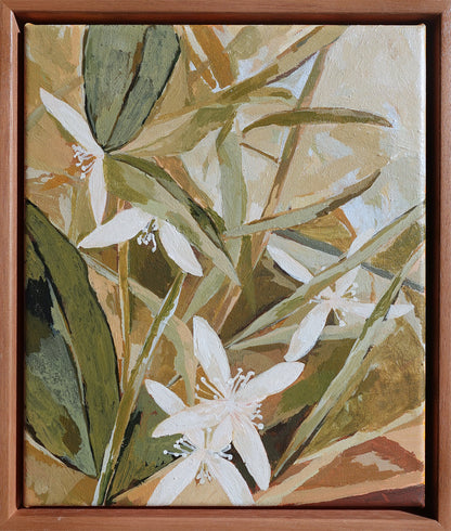 White Clematis