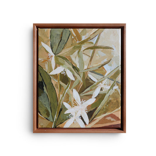 White Clematis