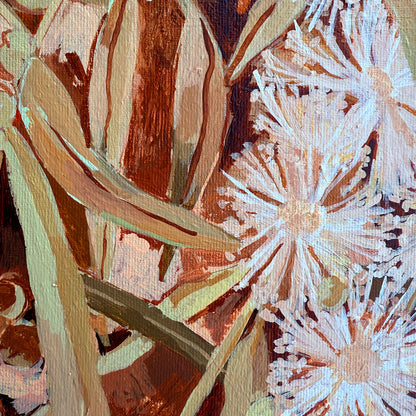 White Gum Blossom