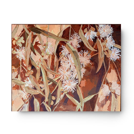 White Gum Blossom