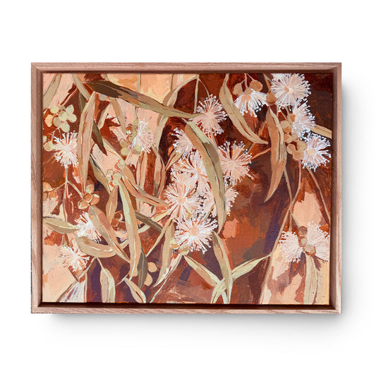 White Gum Blossom
